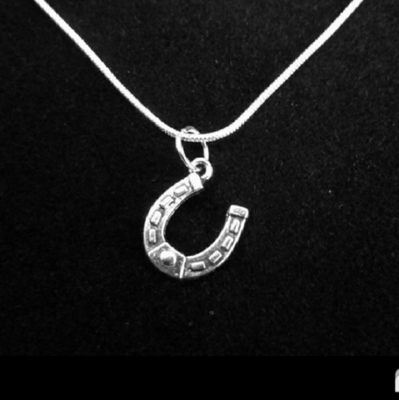 Goodluck Horseshoe. 925 Sterling Silver Necklace - Picture 1 of 2